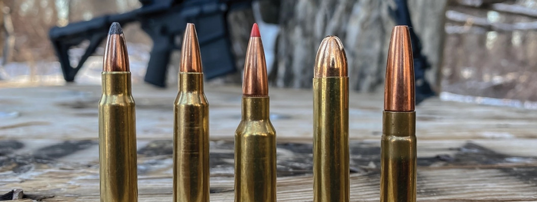 Could the .25-45 Sharps cartridge be the ultimate deer cartridge for the AR platform? Could the .25-45 Sharps cartridge be the ultimate deer cartridge for the AR platform?