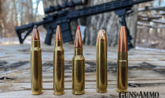 Could the .25-45 Sharps cartridge be the ultimate deer cartridge for the AR platform?